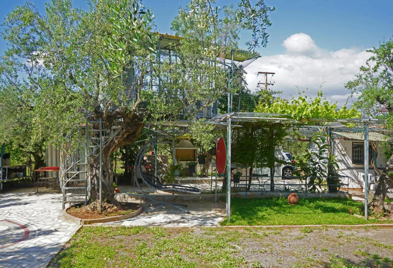 Villa Veni Olive House Kalamata Exterior foto