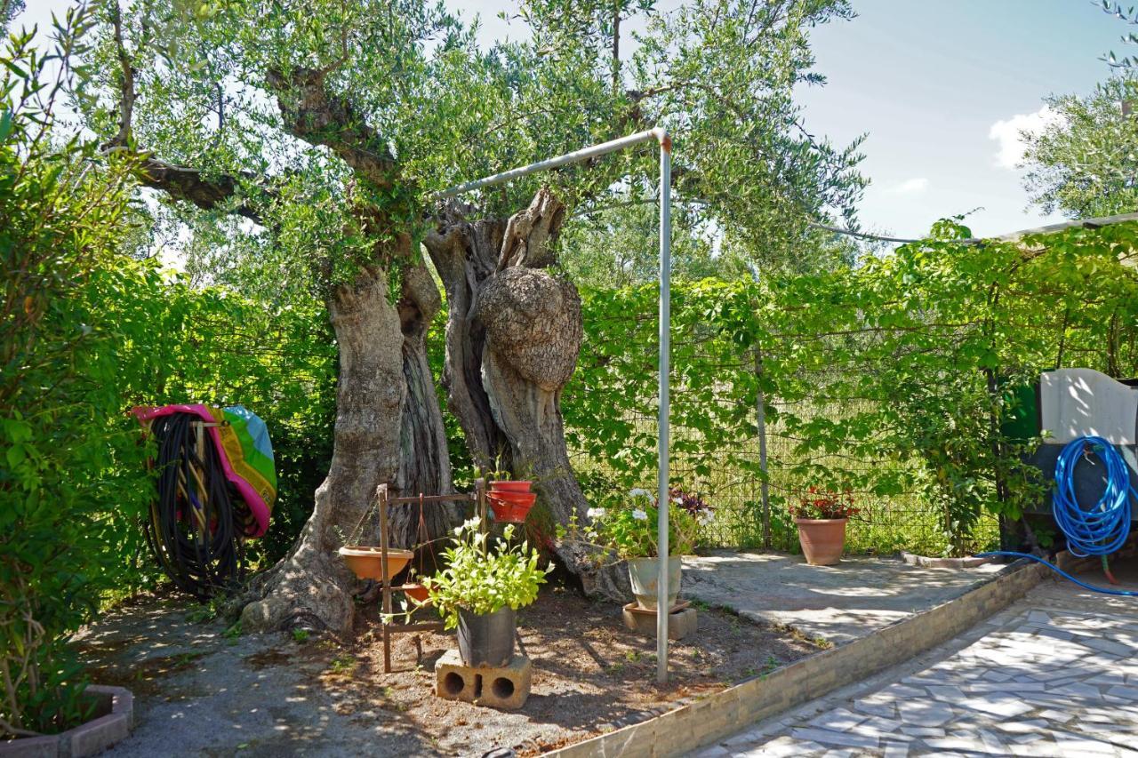 Villa Veni Olive House Kalamata Exterior foto